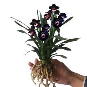 对男友失望看透的句子