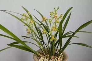 古代时心碎的句子