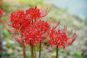 感慨逝去的青春的句子