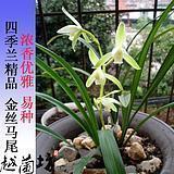 阳光乐观的心态语录精选31句