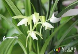 老公个性备注名称大全