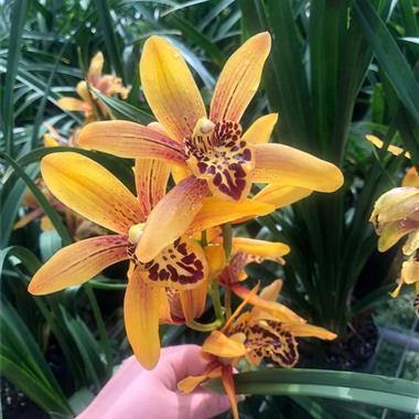 QQ动态说说大全 随心贴QQ句子汇总39句