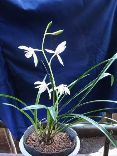 【推荐】晚安心语 撩人又暖心的晚安，句句治愈汇编91句