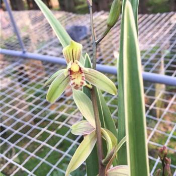 开心工作励志的句子说说心情短语