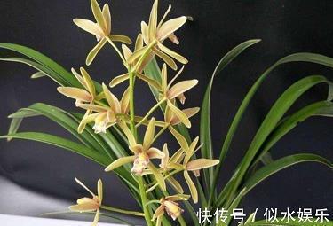 回忆的唯美句子