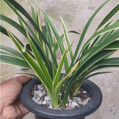 含有地名的诗句大全 带有地名的古诗有哪些