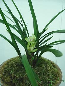 安慰夫妻不和的句子