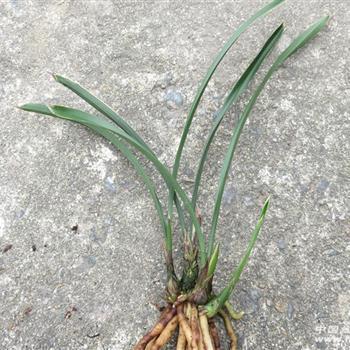 2021中秋节祝福语微信说说(精选137句)