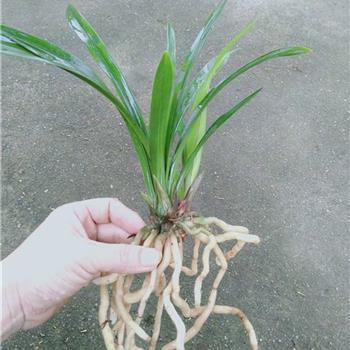 适合起床发的句子精选38句