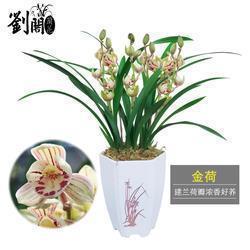 【热门】悲伤的句子越悲伤越好短句汇编82句