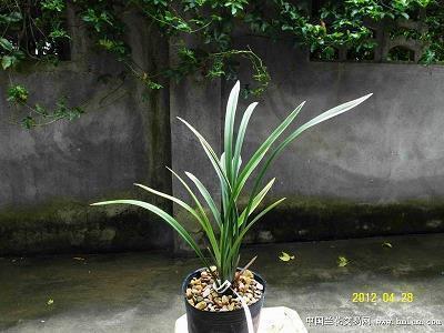 2021清明节句子悲伤的朋友圈文案