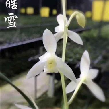 2021最新生日图片 抖音很火的生日短句