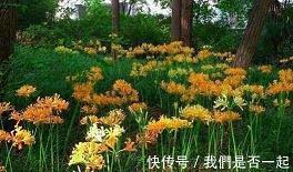 让人心碎的动漫句子