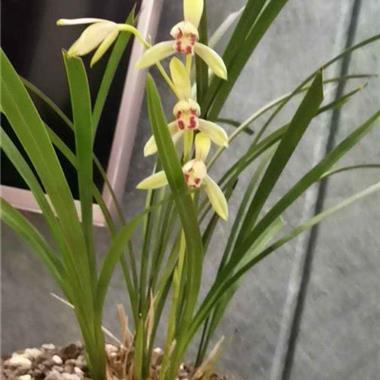 一切重新开始的好句子说说 开始新的生活的经典句子49句