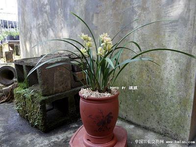 【热门】2021母亲节朋友圈祝福语说说推荐85句