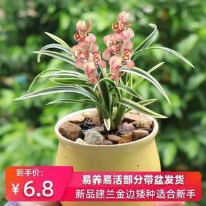 很甜很撩的句子 好笑吗-身边没你好怪，陪我一生一世好吗-