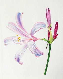 重阳节高级文案句子说说(精选97句)