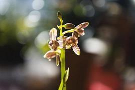 关于端午节唯美句子精选73句