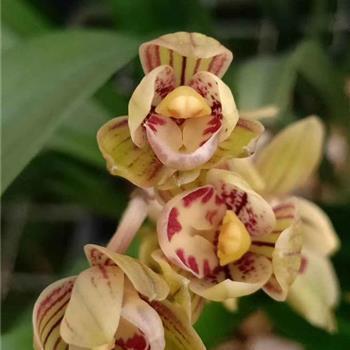 开心快乐送给你的精美句子