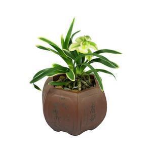 2021关于二月的优美句子74句