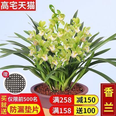 一夜无眠的心情说说 简简单单的生活，随时保持一颗淡然的心态