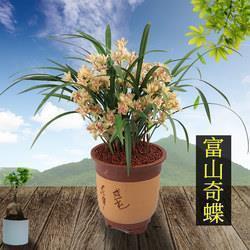 世界艾滋病日宣传口号(精选46句)