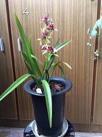 关于细节的正能量句子