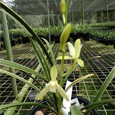 努力过就不后悔的句子