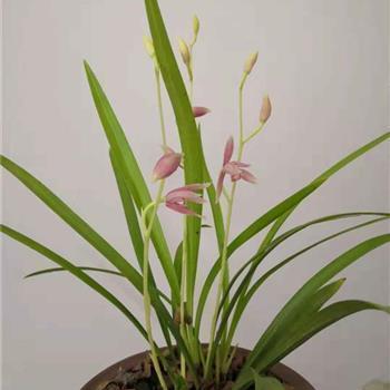 对一个人失望的句子 失望的让人想哭的说说