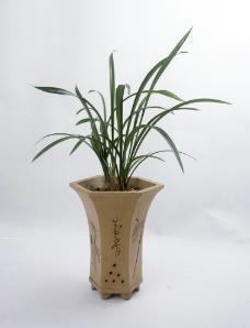 关于描写荒凉的句子 一片枯黄的树叶悄无声息地滑落在肩头