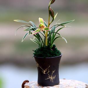 2022广西疫情防控正能量话语精选(精选38句)