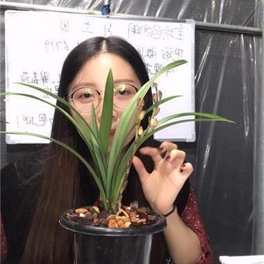 迎接2021六一的唯美句子汇编75句