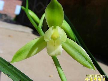 跟兄弟一起开心的句子