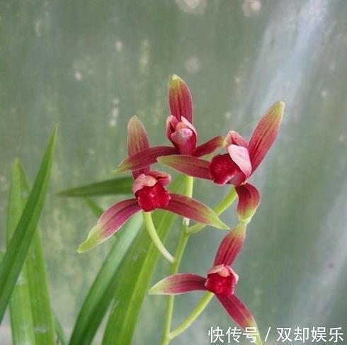 2021元旦跨年文案大全