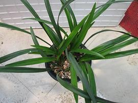 高三百日誓师口号简短霸气