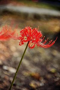 心碎过往的句子