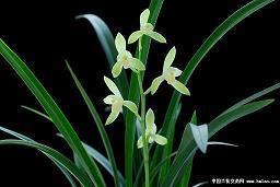 适合发微信的甜言蜜语 很甜很撩的句子汇总36句