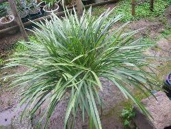 励志的句子经典语句简短精选77句