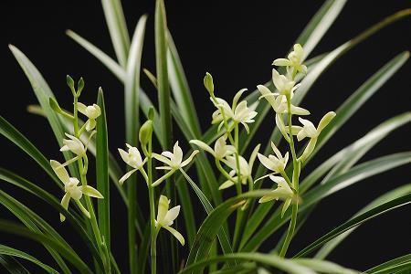 对不起让你失望了的句子