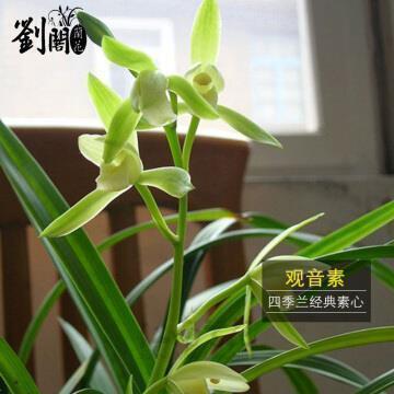 适合发朋友圈给男朋友的情话