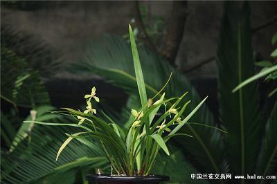 2021适合朋友圈的句子78句
