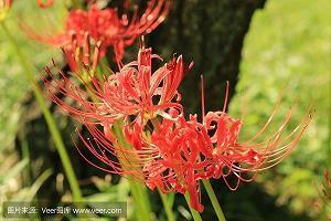 抖音酷到爆的句子往后余生(精选70句)