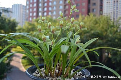 适合各种心情的句子 句句说到心坎上的句子45句