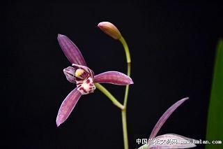 一发就火的文案 文案短句干净三观正高冷推荐65句