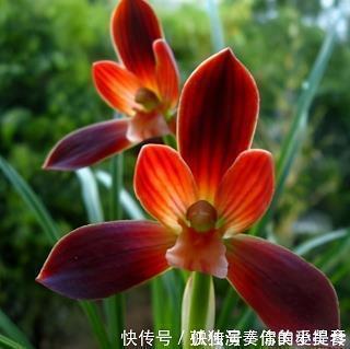 2021万圣节搞怪吓人文案说说