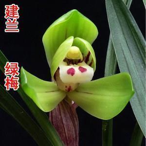 刘同经典语录大全