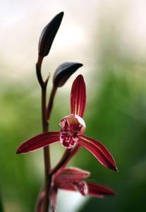 高考倒计时家长激励语 高考倒计时3天说说汇编76句