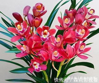 适合情侣公开的文案 情侣公布恋情的文案