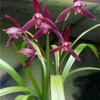 中秋节团聚心情文案说说(精选96句)