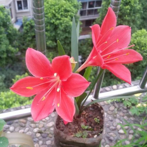 人生感悟致自己 适合发朋友圈的人生感悟句子(精选39句)